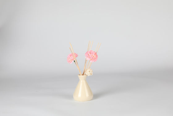 Reed Diffuser não tóxico decorativo